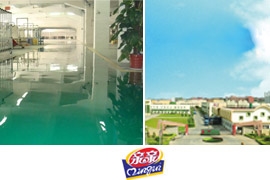 防腐地坪工程:親親食品