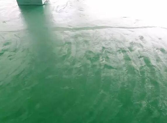 刷痕明顯的環氧地坪 刷痕明顯的環氧地坪